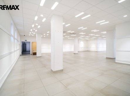 Pronájem obchodní prostory, 550 m²
