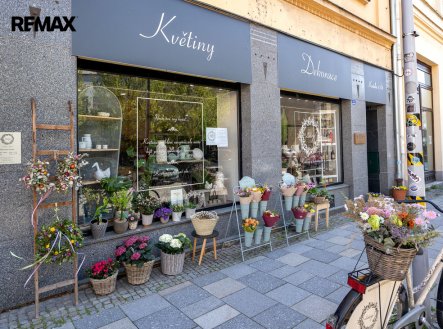 Prodej obchodní prostory, 74 m²