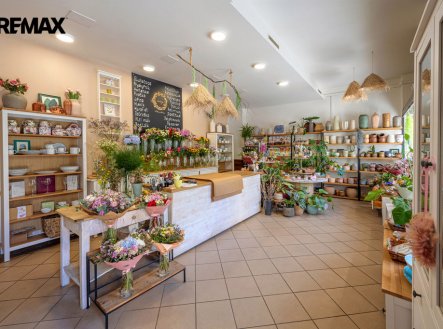Prodej obchodní prostory, 74 m²