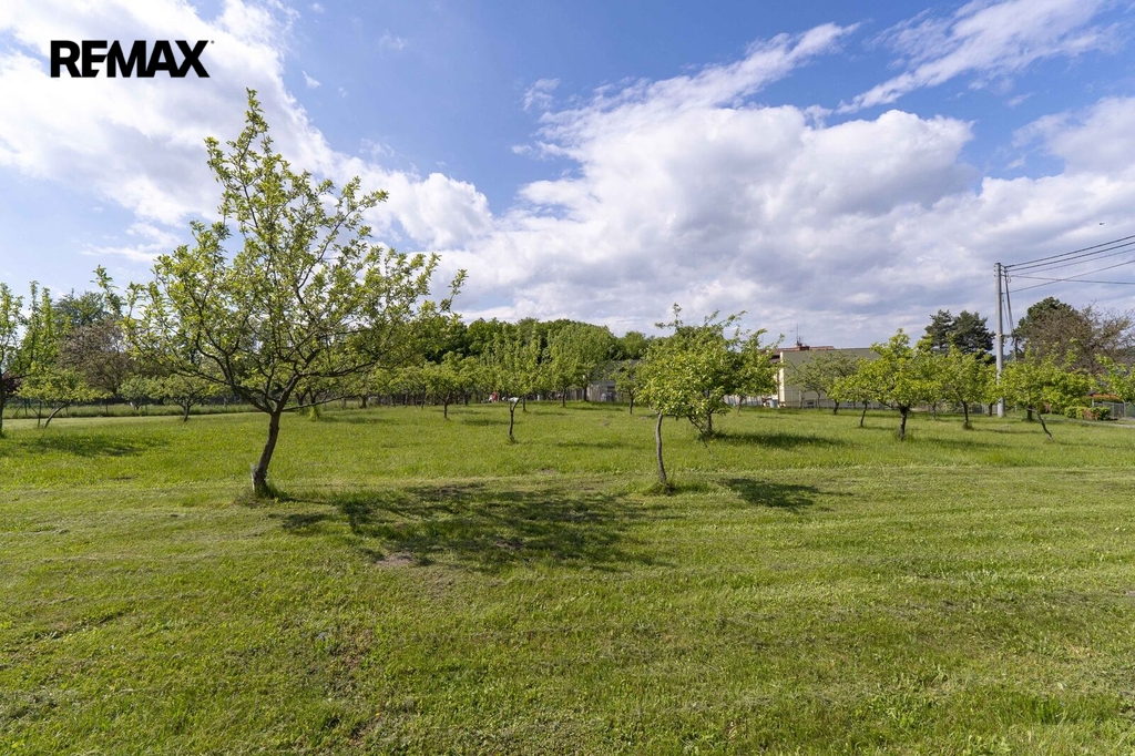 cdp03228.jpg