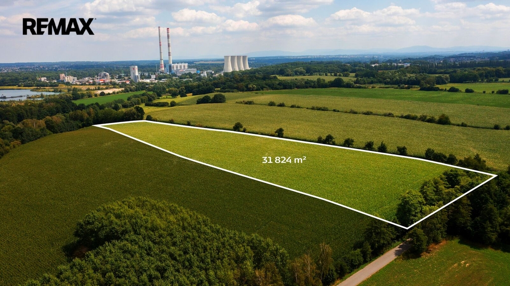 04.jpg
