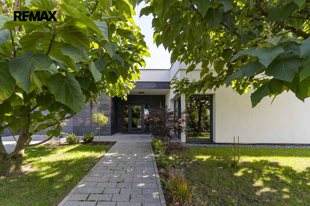 cdp06314.jpg
