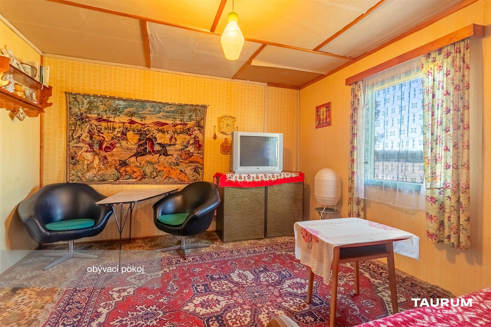 Světlý obývací pokoj s vintage kobercem, dřevěným obkladem a velkými okny, nabízející retro styl a útulnou atmosféru.