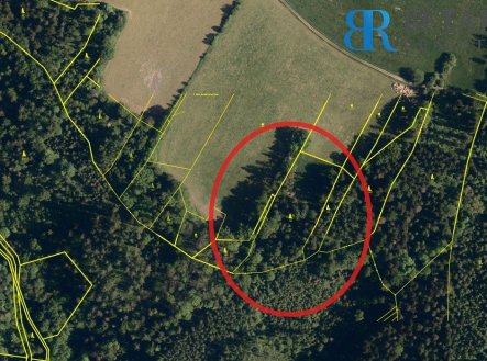 Prodej pozemku, les, 30 000 m²