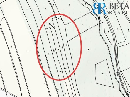 Prodej pozemku, les, 30 000 m²