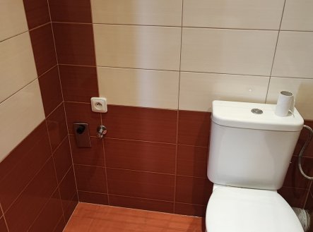 Pronájem bytu, 1+1, 36 m²