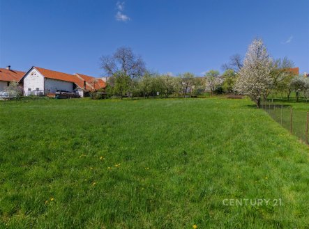 Prodej pozemku pro bydlení, 2 462 m²