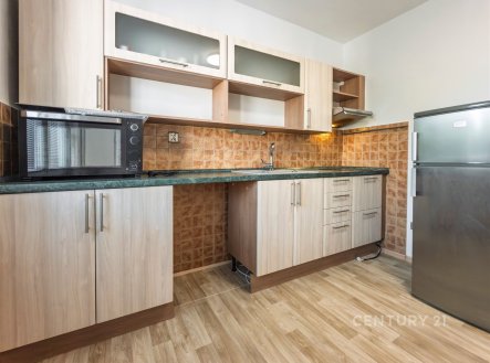 Pronájem bytu, 1+1, 42 m²