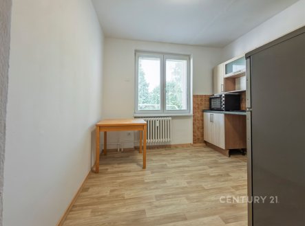 Pronájem bytu, 1+1, 42 m²