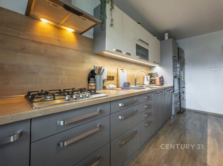 Prodej domu/vily, 391 m²