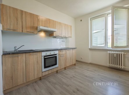 Pronájem bytu, 1+1, 40 m²