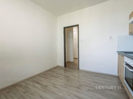 Pronájem bytu, 1+1, 40 m²