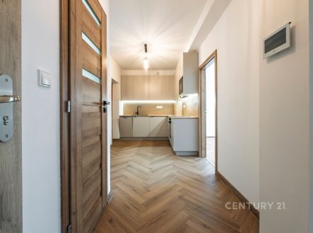 Pronájem bytu, 2+1, 44 m²