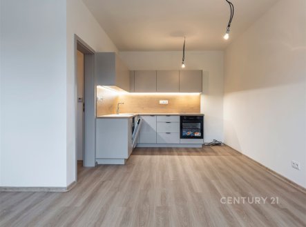 Pronájem bytu, 1+kk, 39 m²