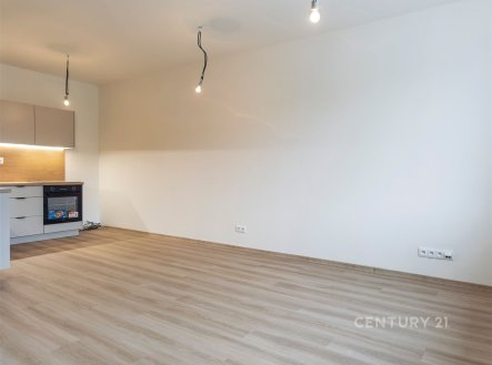 Pronájem bytu, 1+kk, 39 m²
