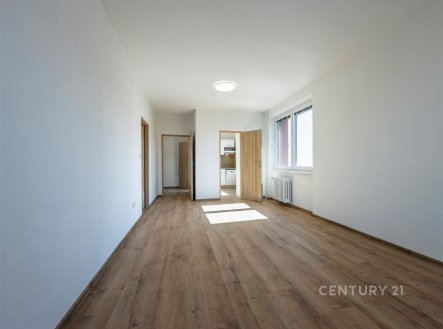 Pronájem bytu, 2+1, 55 m²