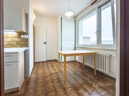 Pronájem bytu, 2+1, 55 m²