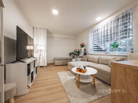 Pronájem bytu, 1+kk, 34 m²
