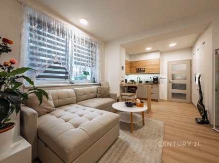 Pronájem bytu, 1+kk, 34 m²