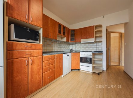 Pronájem bytu, 3+1, 73 m²