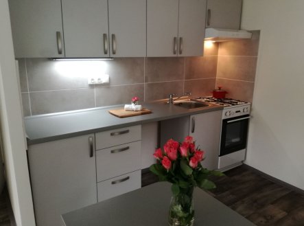 1575489940-c4ba7de4b572ae5bd2aecec824b7f68c.jpg | Prodej bytu, 2+kk, 47 m²
