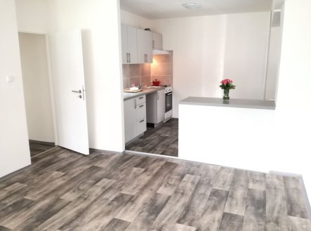 Prodej bytu, 2+kk, 47 m²