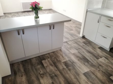 Prodej bytu, 2+kk, 47 m²