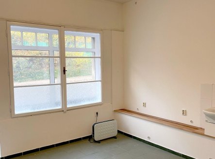 Pronájem obchodní prostory, 20 m²