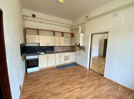 Pronájem bytu, 1+1, 50 m²