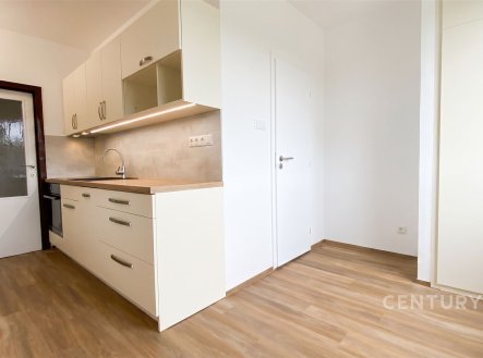 Pronájem bytu, 2+1, 56 m²