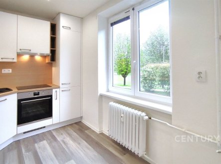 Pronájem bytu, 3+1, 64 m²