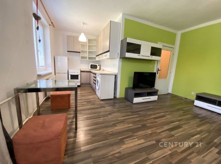 Pronájem bytu, 1+kk, 34 m²