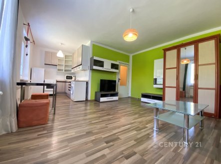 Pronájem bytu, 1+kk, 34 m²