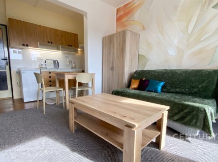 Pronájem bytu, garsoniéra, 28 m²