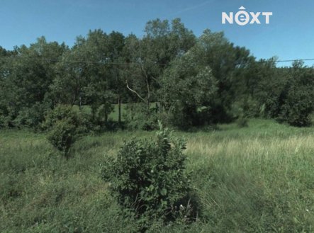 Prodej pozemku, trvalý travní porost, 7 192 m²