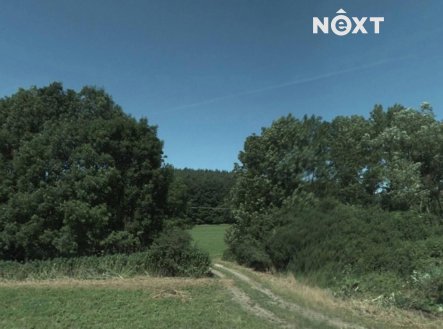 Prodej pozemku, trvalý travní porost, 7 192 m²