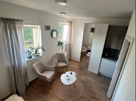 Pronájem bytu, 1+kk, 20 m²