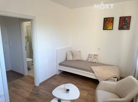 Pronájem bytu, 1+kk, 20 m²