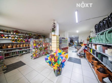 Prodej komerčního objektu, obchodní centrum, 828 m²