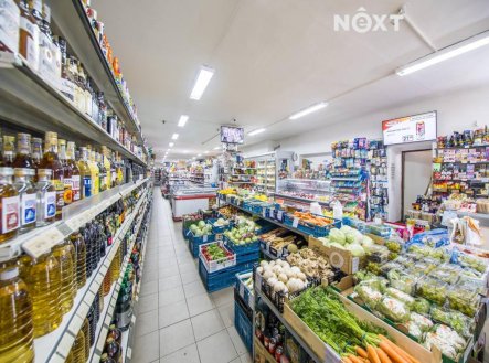 Prodej komerčního objektu, obchodní centrum, 828 m²