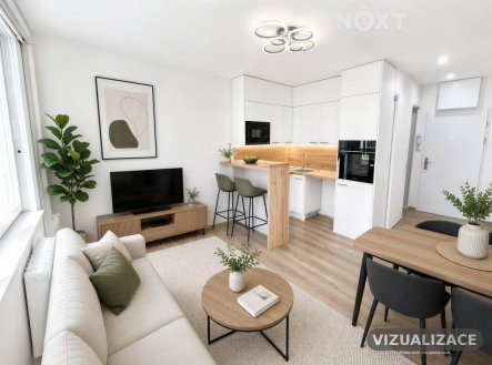 Pronájem bytu, 1+kk, 19 m²