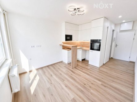 Pronájem bytu, 1+kk, 19 m²