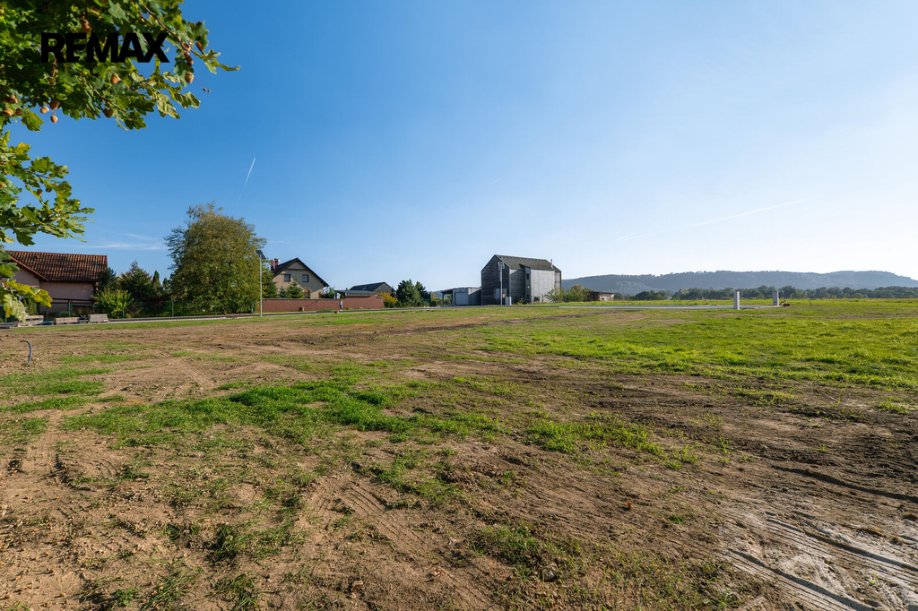 p1070604-1.jpg