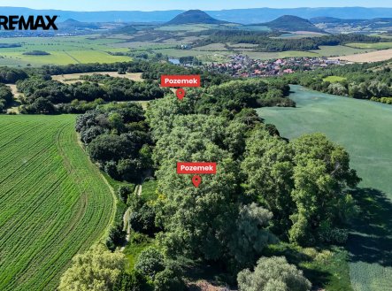 Prodej pozemku, les, 5 841 m²