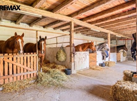 Prodej domu/vily, 1 230 m²