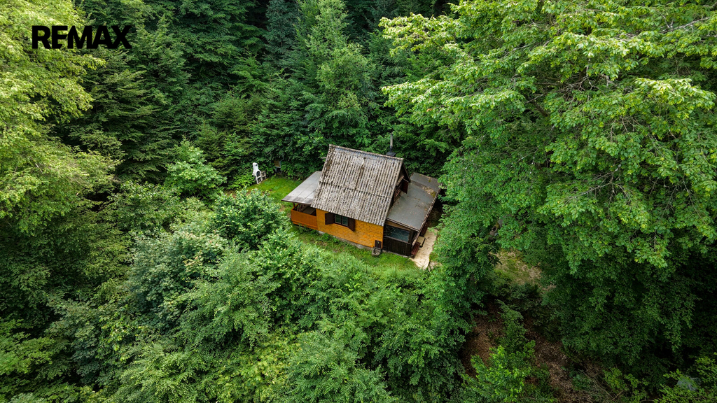 dji-fly-20260702-141240-0100-1783027049318-photo.jpg