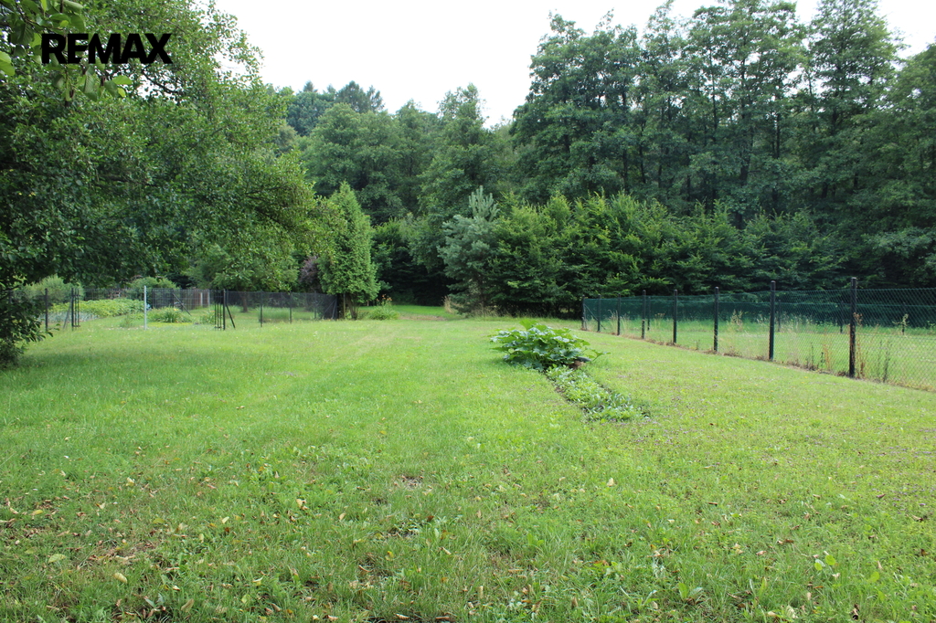 img-0196.jpg