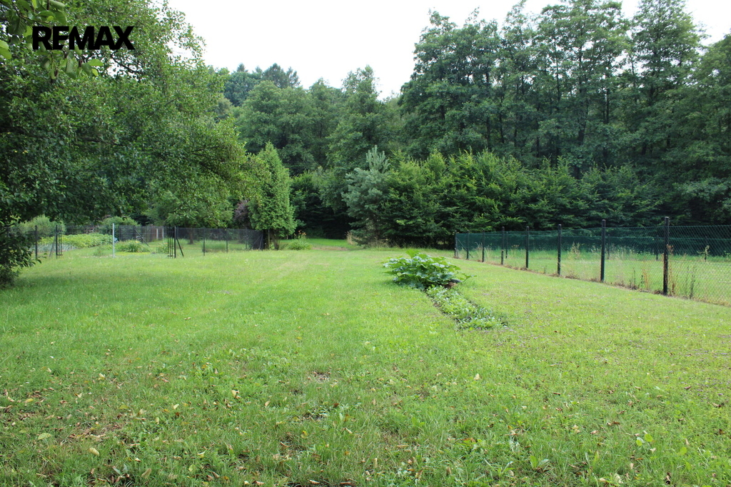 img-0196.jpg