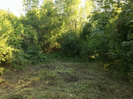 Prodej pozemku, ostatní, 340 m²