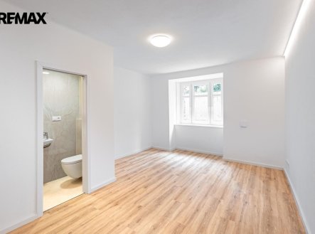 Prodej bytu, 1+kk, 24 m²